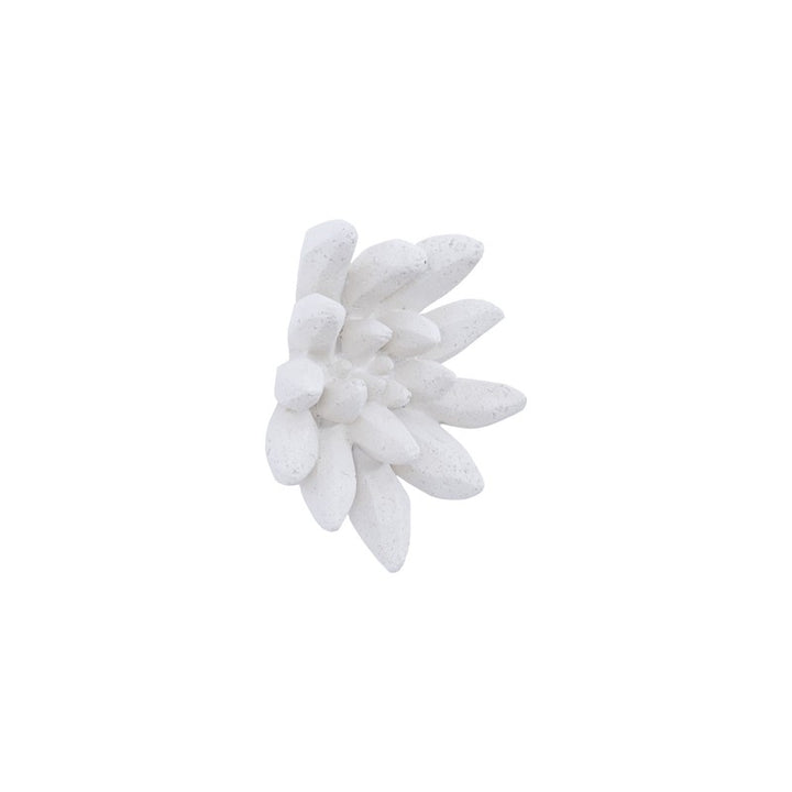 Compactum Succulent Wall Art, White Stone