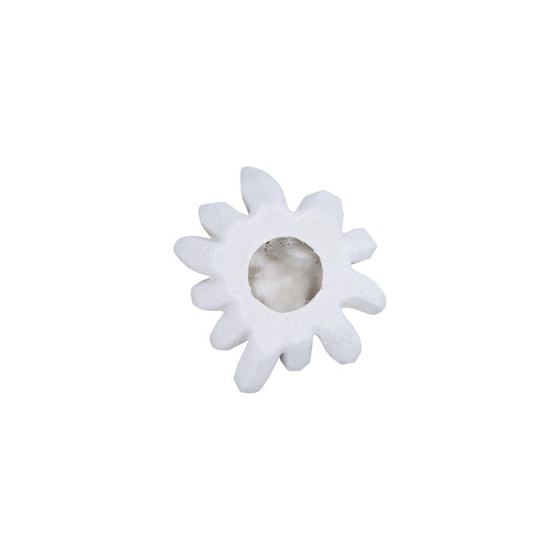 Compactum Succulent Wall Art, White Stone