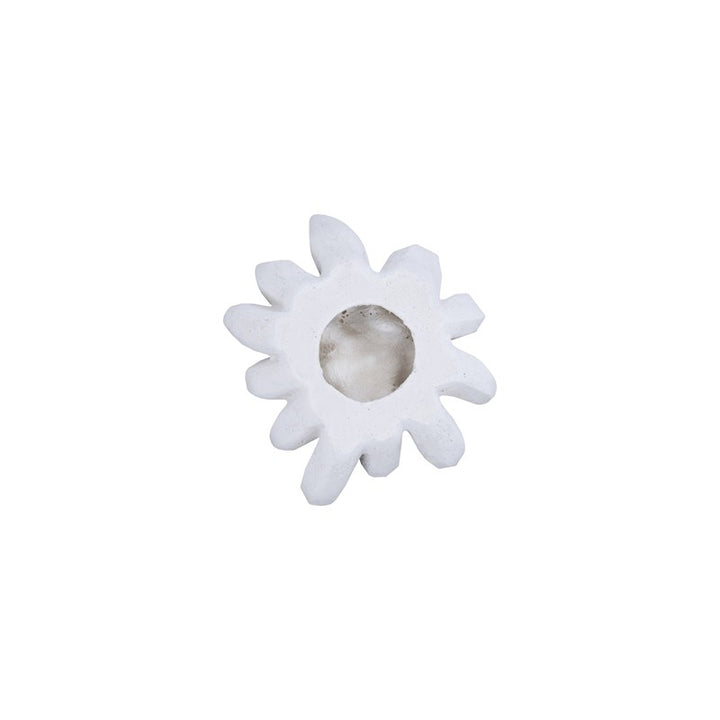 Compactum Succulent Wall Art, White Stone