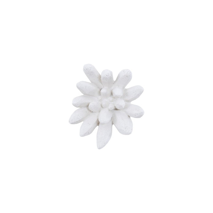 Compactum Succulent Wall Art, White Stone