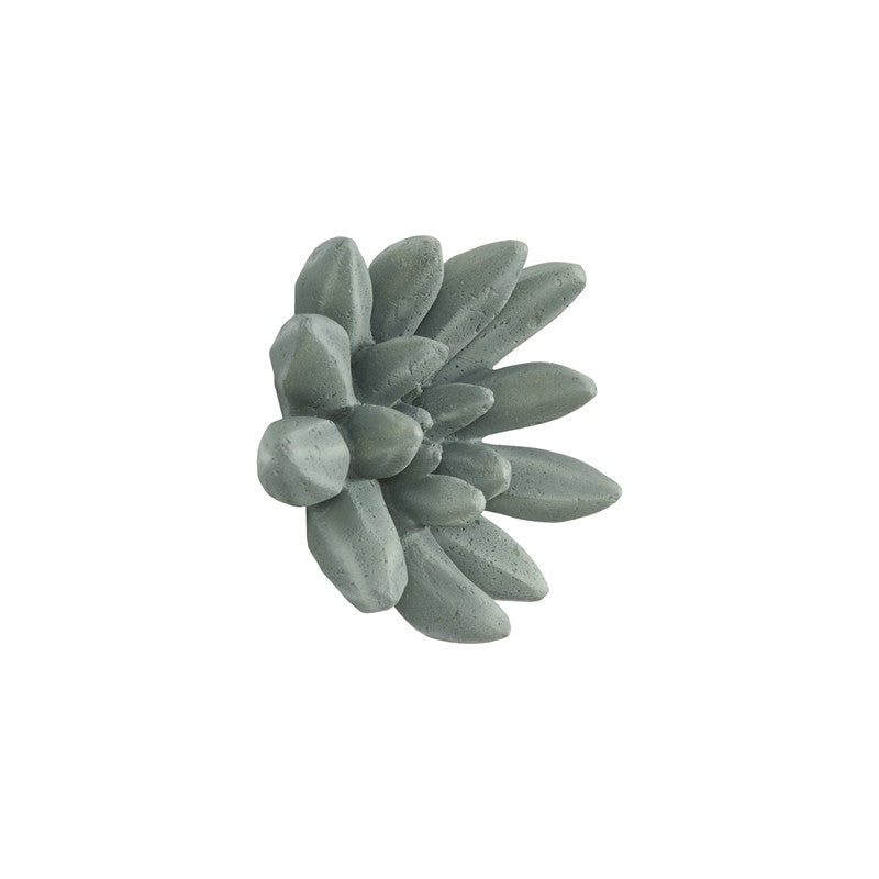 Compactum Succulent Wall Art
