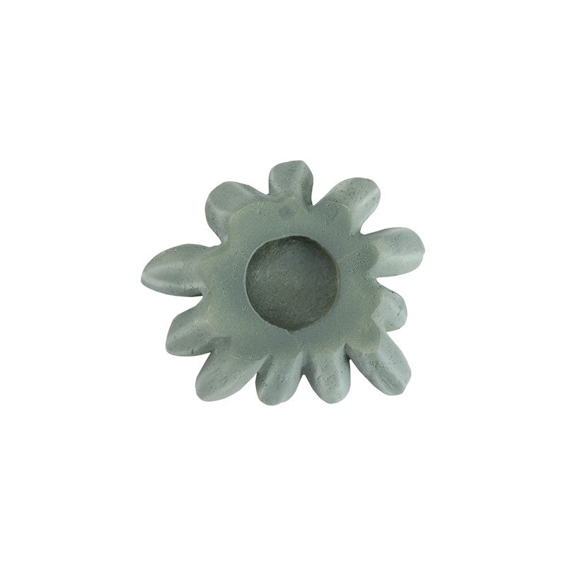 Compactum Succulent Wall Art