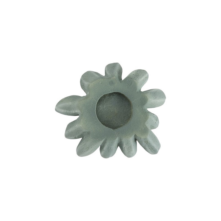Compactum Succulent Wall Art