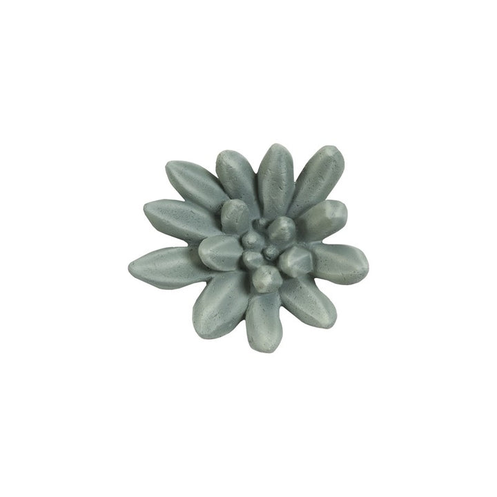 Compactum Succulent Wall Art