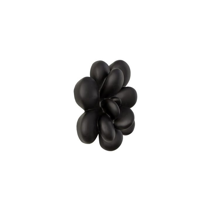 Oviferum Succulent Wall Art, Smooth Matte Black