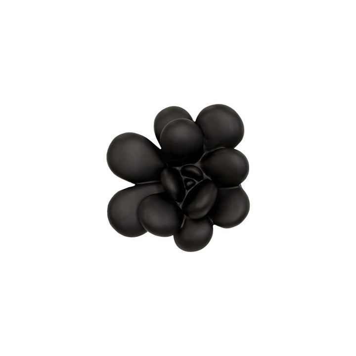 Oviferum Succulent Wall Art, Smooth Matte Black