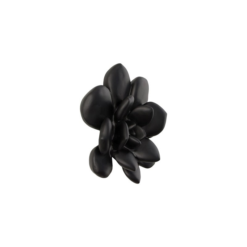 Laui Succulent Wall Art, Smooth Matte Black