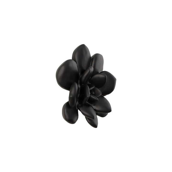Laui Succulent Wall Art, Smooth Matte Black