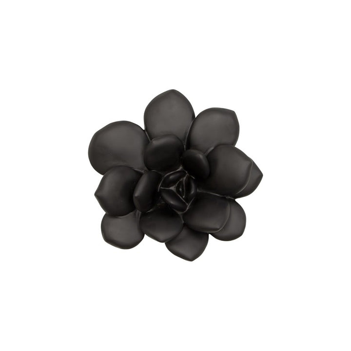 Laui Succulent Wall Art, Smooth Matte Black