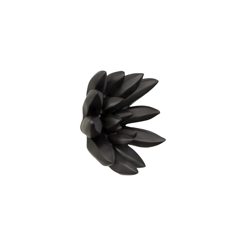 Compactum Succulent Wall Art, Smooth Matte Black