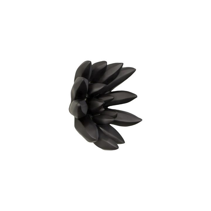 Compactum Succulent Wall Art, Smooth Matte Black
