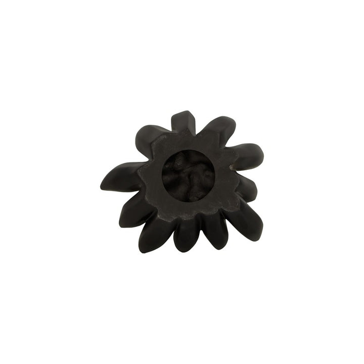 Compactum Succulent Wall Art, Smooth Matte Black