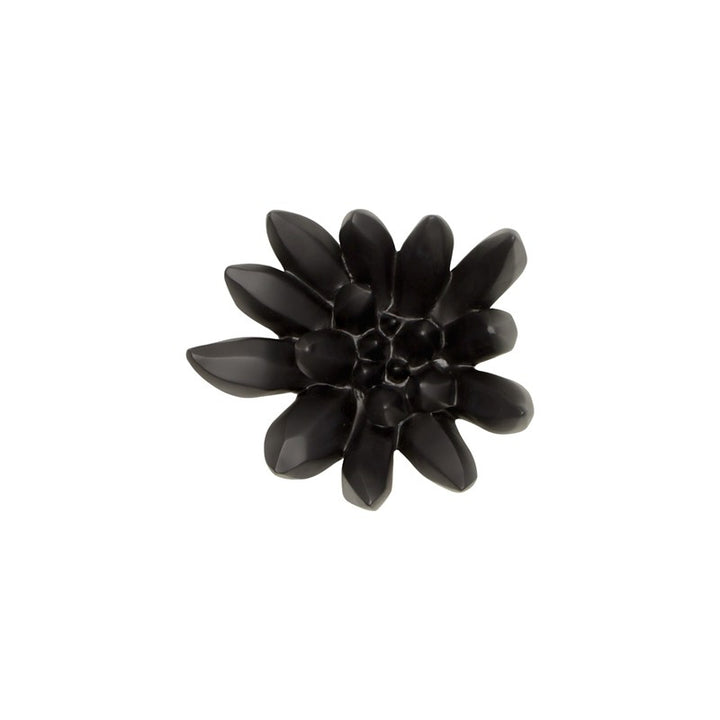 Compactum Succulent Wall Art, Smooth Matte Black