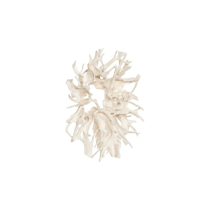 Cast Root Wall Decor