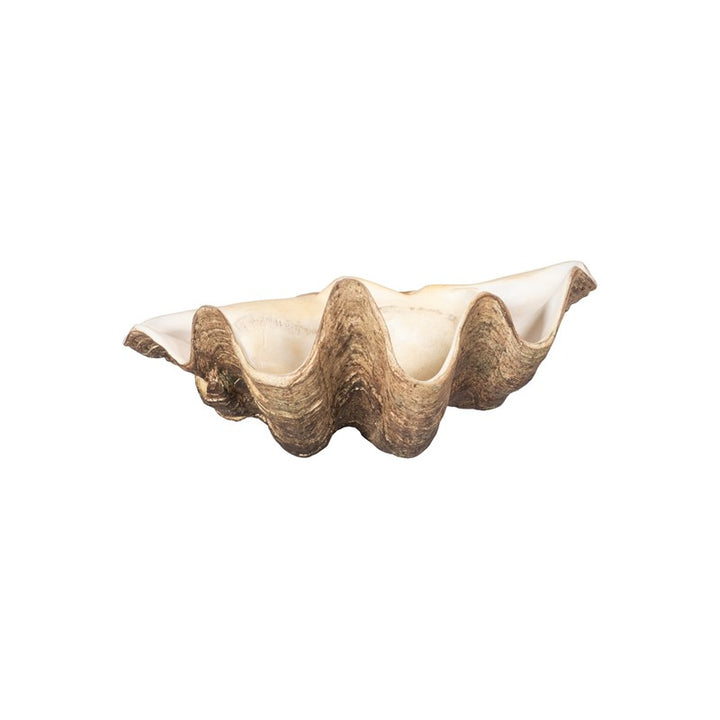 Cast Clam Shell Bowl, Faux Finish, SM