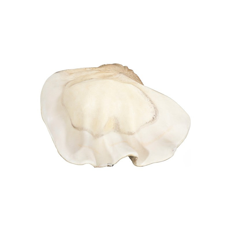 Cast Clam Shell Bowl, Faux Finish, LG