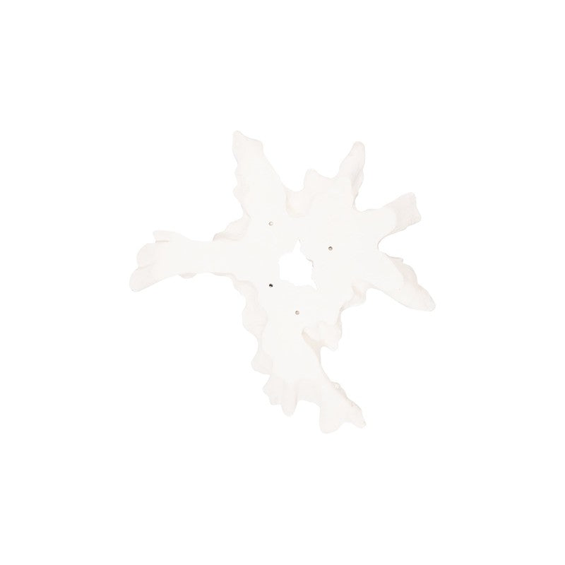 Contour Cast Root Flower Wall Art