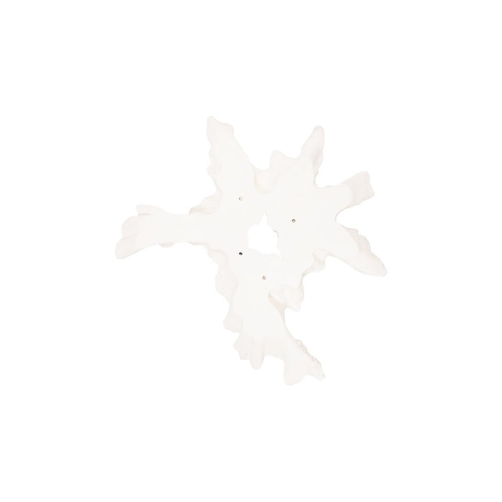 Contour Cast Root Flower Wall Art