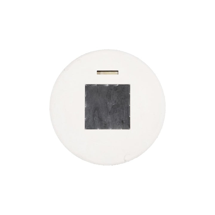 Sea Urchin Mirror