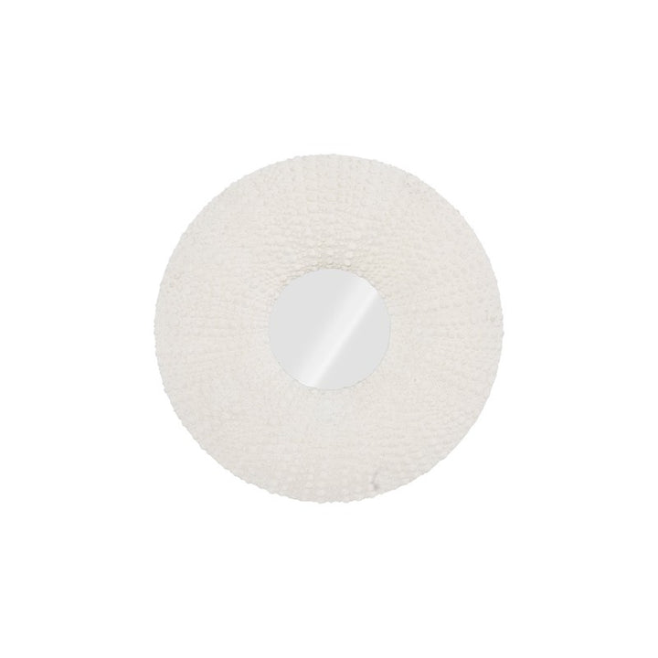 Sea Urchin Mirror