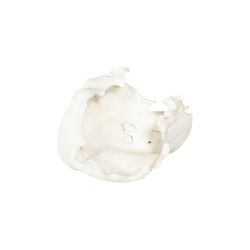 Cast Root Bowl, Open