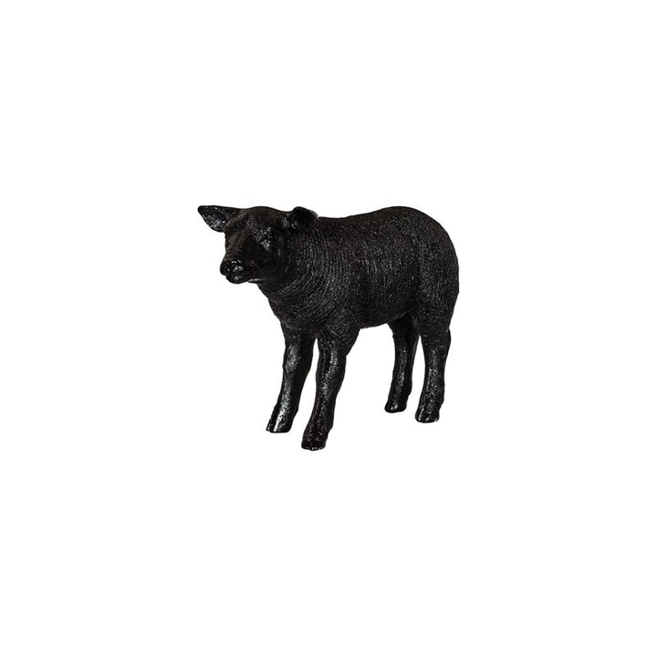 Texelaar Sheep, Lamb, Gel Coat Black