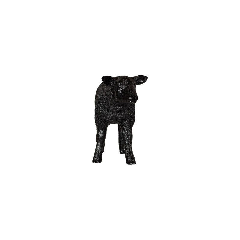Texelaar Sheep, Lamb, Gel Coat Black