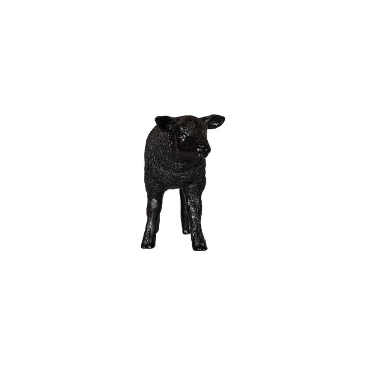 Texelaar Sheep, Lamb, Gel Coat Black