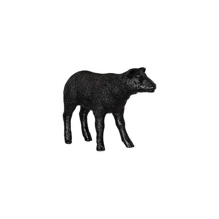 Texelaar Sheep, Lamb, Gel Coat Black