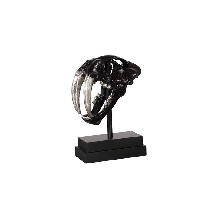 Saber Tooth Tiger Skull