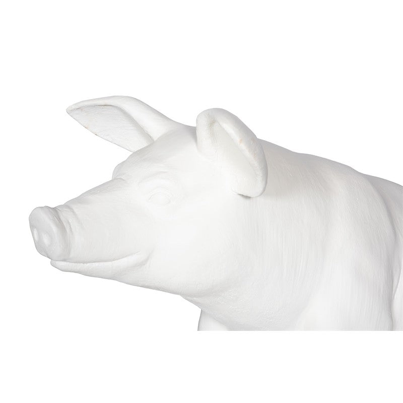 Happy Pig
