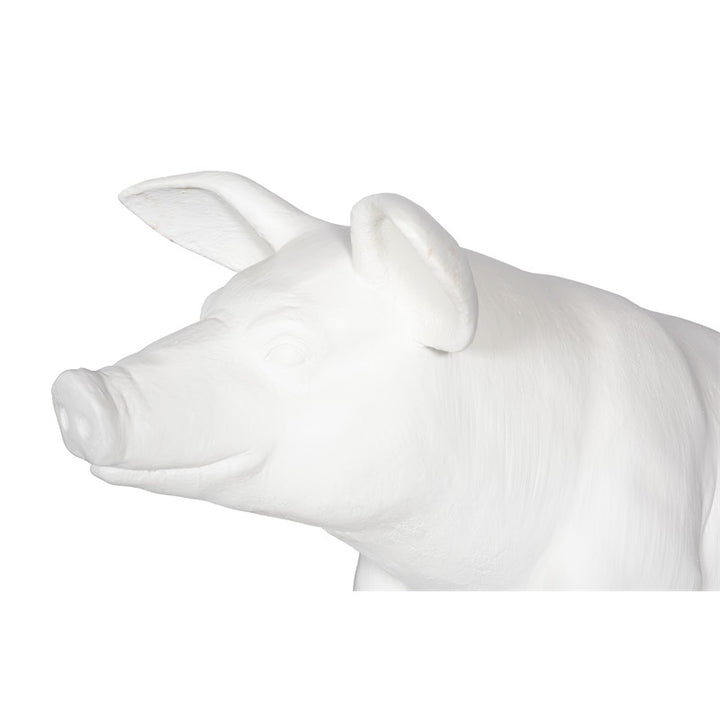 Happy Pig