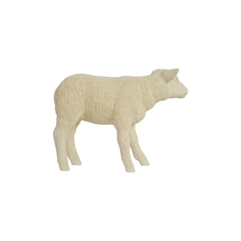 Texelaar Sheep