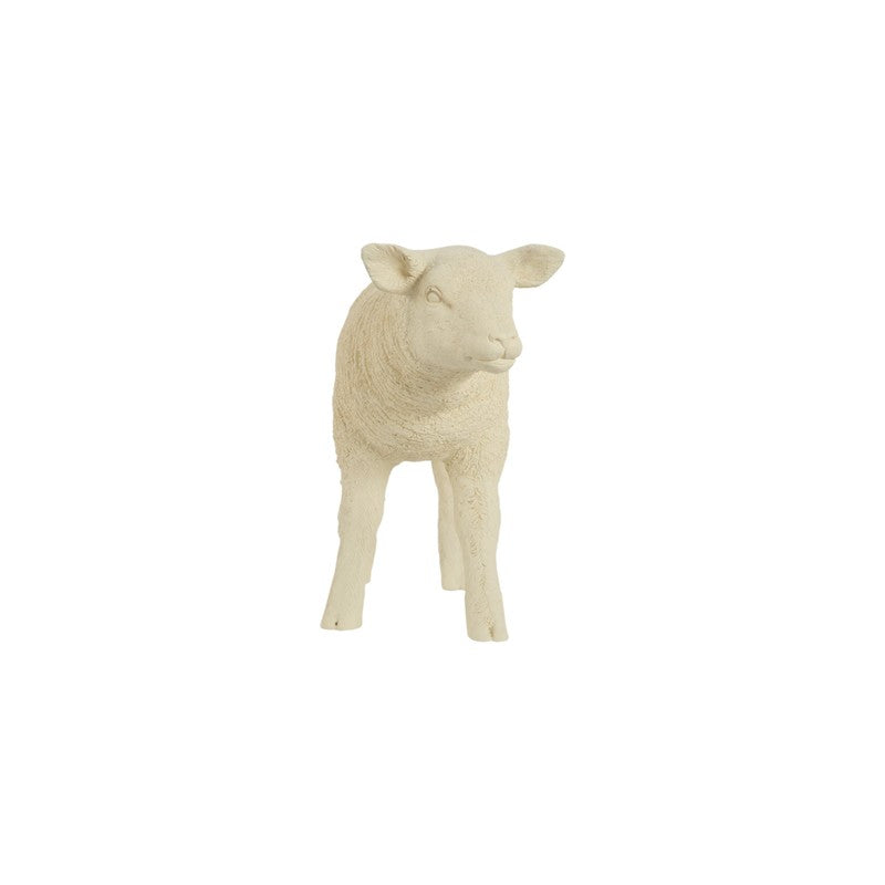 Texelaar Sheep