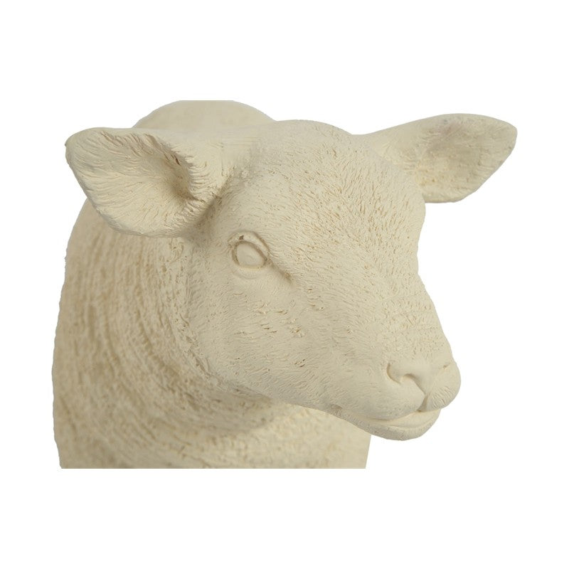 Texelaar Sheep