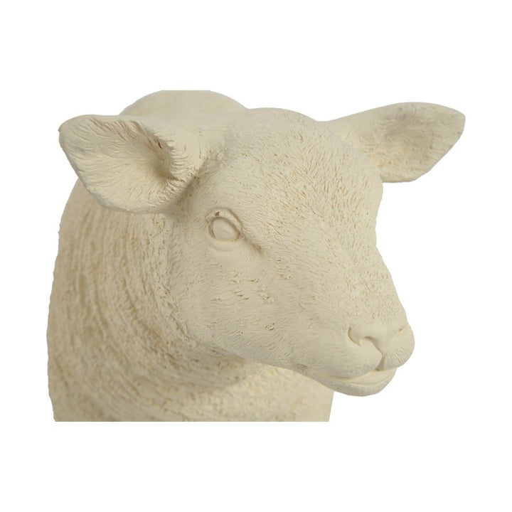 Texelaar Sheep