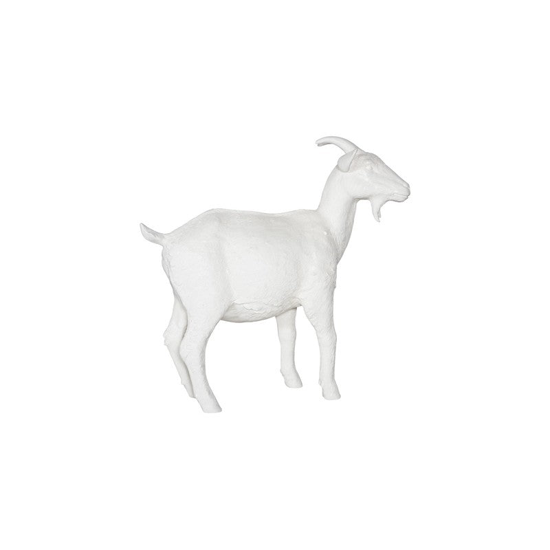 Goat