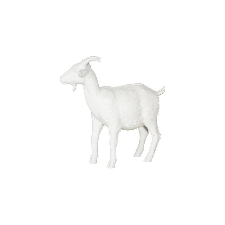 Goat