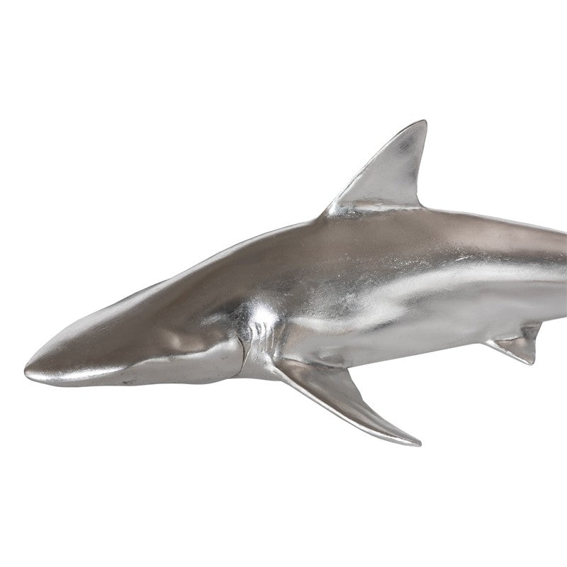 Whaler Shark