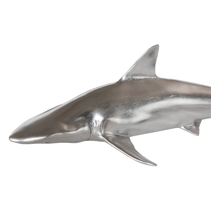Whaler Shark