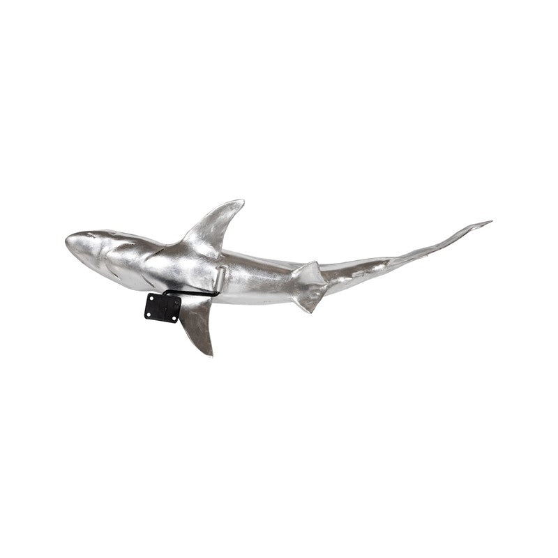 Whaler Shark