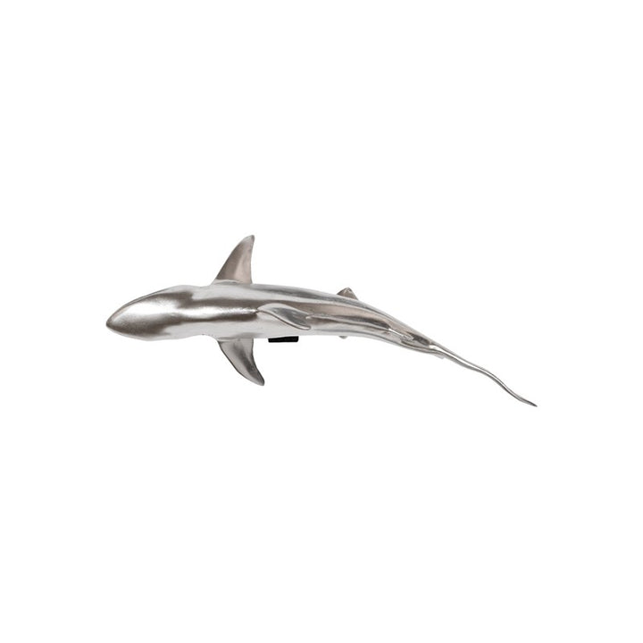 Whaler Shark