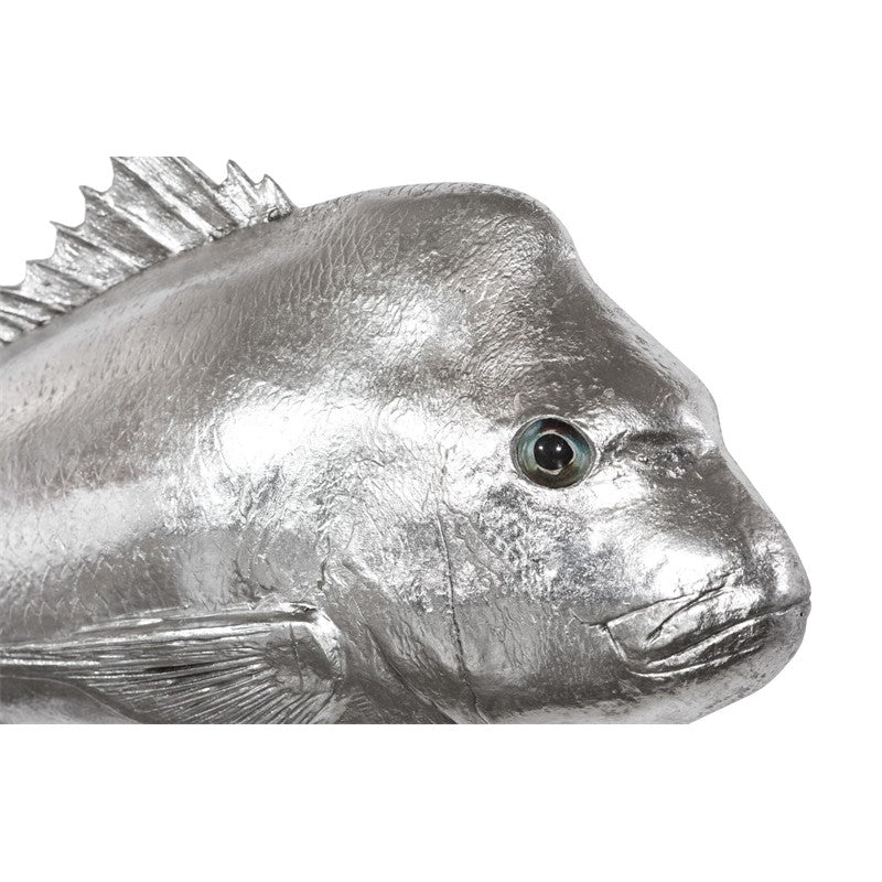 Australian Snapper Fish Wall Sculpture