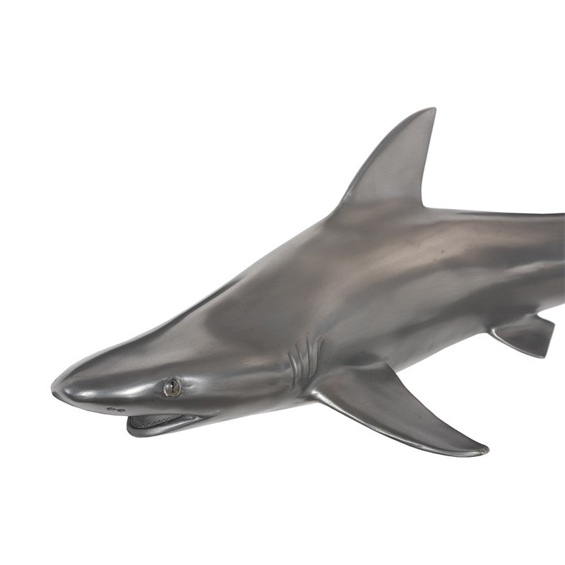 Black Tip Reef Shark