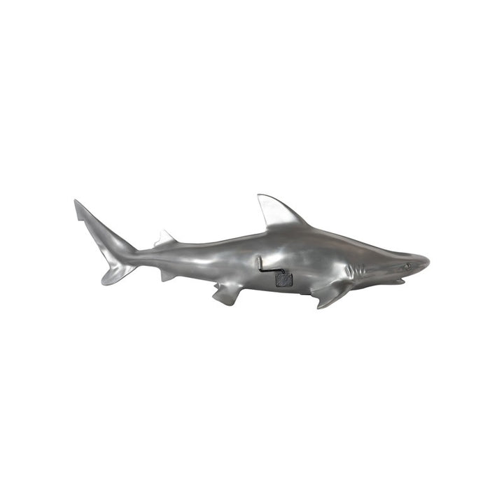Black Tip Reef Shark