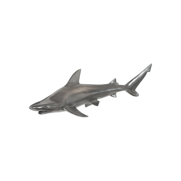 Black Tip Reef Shark