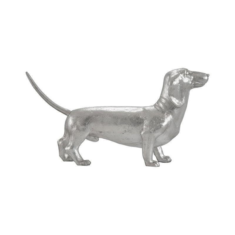 Dachshund