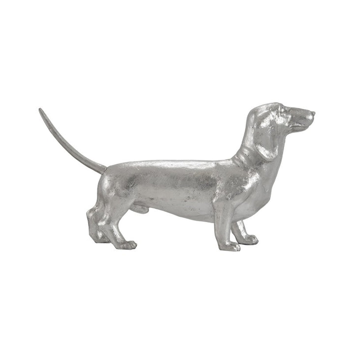 Dachshund