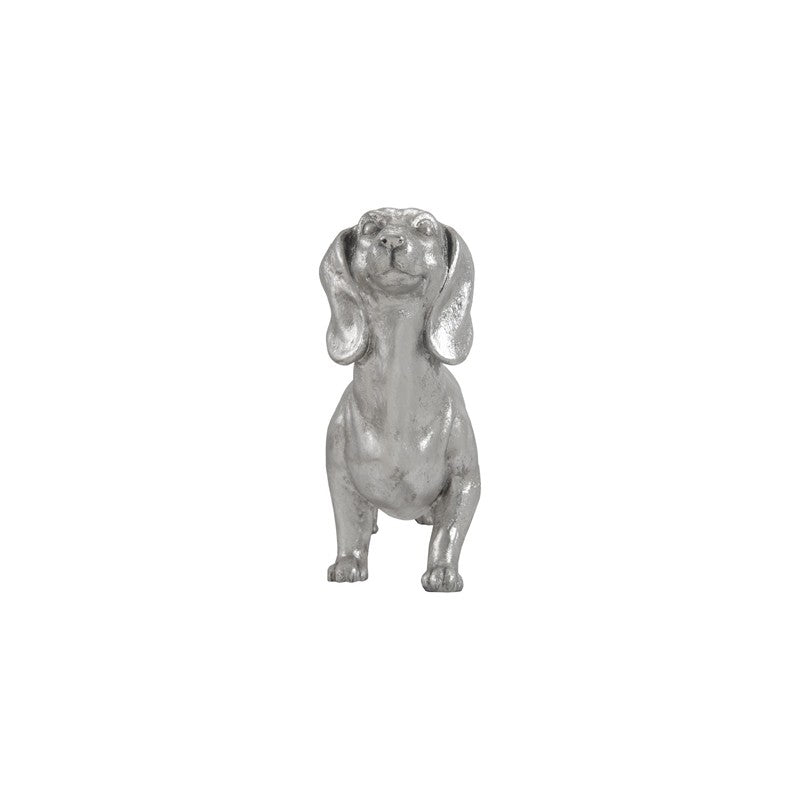 Dachshund