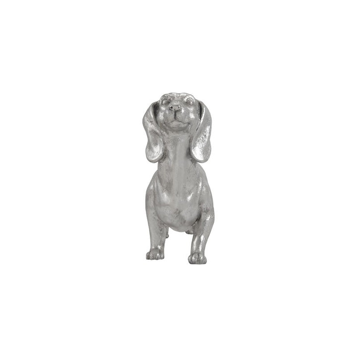 Dachshund